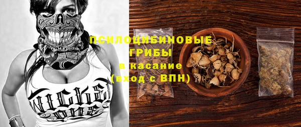 кокс Арсеньев