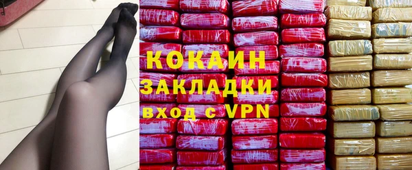 кокс Арсеньев